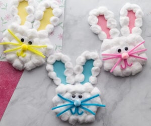 Bunny Craft