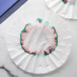 Coffee Filter Chromatography