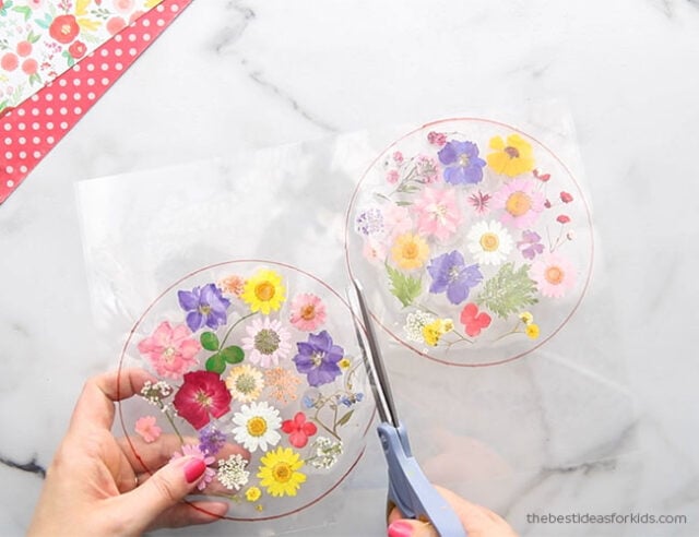 Cut out Suncatchers