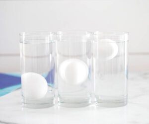 Floating Egg Experiment