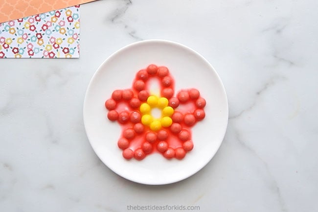 Flower Skittles Water