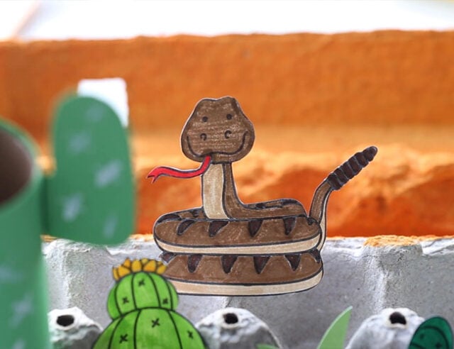 Glue Snake to Egg Carton