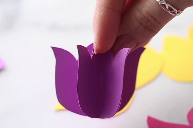 Glue Tulip Pieces Together