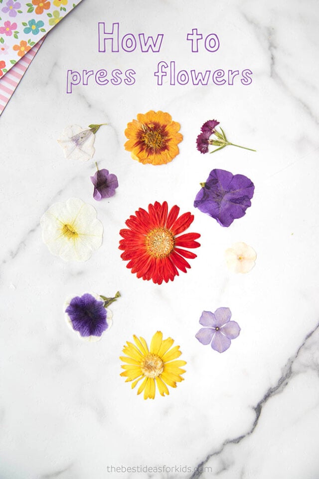 How to Press Flowers in a Book