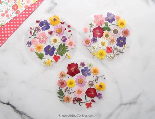 Make Pressed Flower Suncatchers