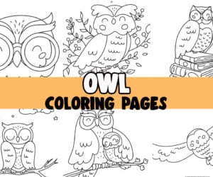 owl coloring page cover