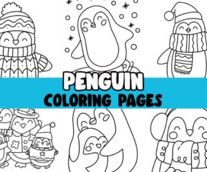 penguin coloring page cover