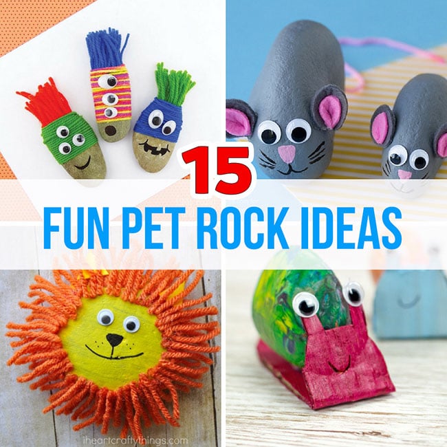 Pet Rock Ideas