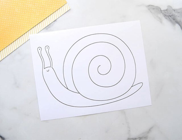 Snail Sensory Template