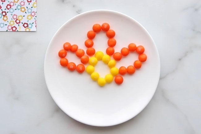 Start Making Flower Out of Skittles